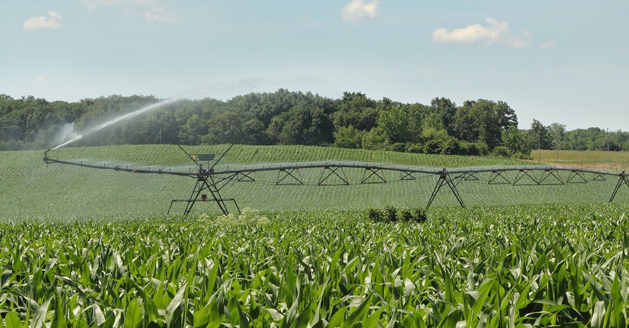 Pivot Insurance Scribner Insurance Agency